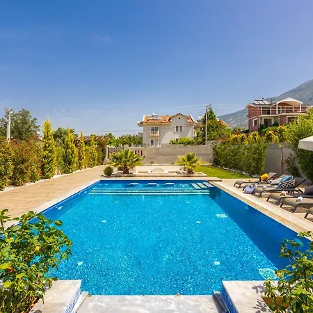 Moderno B * Олудениз